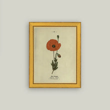 Load image into Gallery viewer, Red Poppy Framed Antique Art
