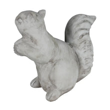 Load image into Gallery viewer, Squirrel Standing, Cement
