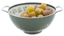 Load image into Gallery viewer, Green Botanical Berry Bowl
