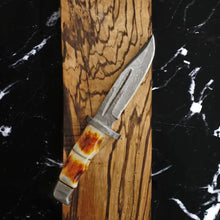 Load image into Gallery viewer, Damascus Hunting Knife TD-216-B
