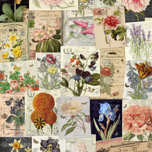 Load image into Gallery viewer, Assorted 11&quot; X 17&quot; Art Pictures
