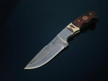 Load image into Gallery viewer, Knife W/Walnut &amp; Stag Horn Handle TD-159X
