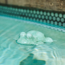 Load image into Gallery viewer, Floating Frog
