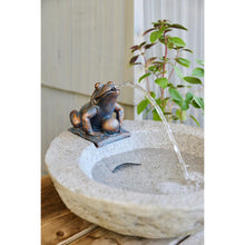 Load image into Gallery viewer, Frog Fountain
