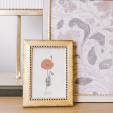 Load image into Gallery viewer, Red Poppy Framed Antique Art
