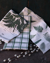 Load image into Gallery viewer, Tea Towels - Ferns (PK/3 AST)
