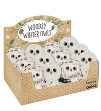 Load image into Gallery viewer, Woodsy Winter Owls( Asst)
