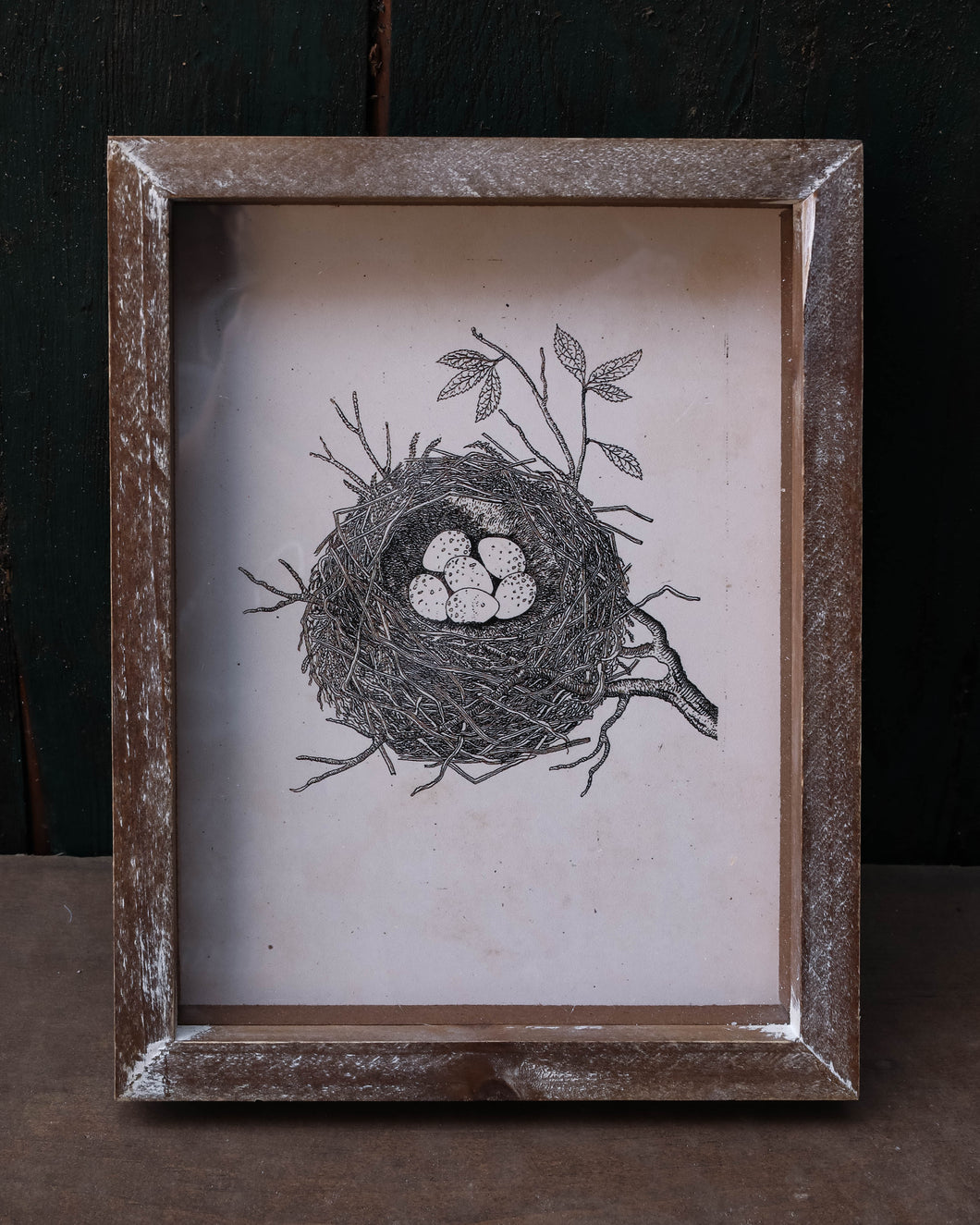 Framed Prints - Nests