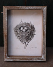 Load image into Gallery viewer, Framed Prints - Nests
