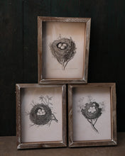 Load image into Gallery viewer, Framed Prints - Nests
